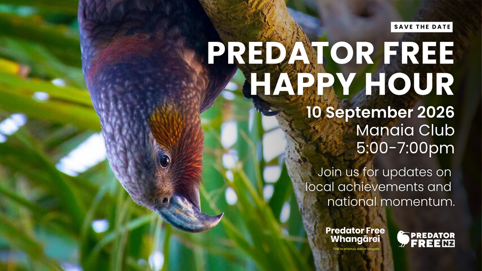 Predator Free Happy Hour Northland hero image